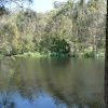 Lane Cove River